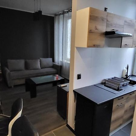 Apartament Pod Wieza Apartment Piotrkow Trybunalski Ngoại thất bức ảnh